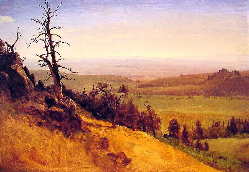 Albert Bierstadt Newbraska Wasatch Mountains